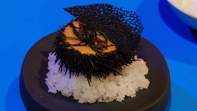 Receta de espuma templada de erizos de mar y coral crujiente de tinta de calamar de MasterChef 12+1