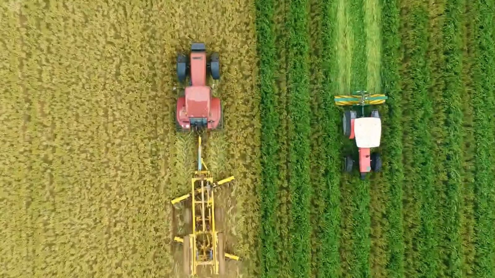 Hope, estamos a tiempo - Episodio 2: El poder de dos palabras - Ver ahora