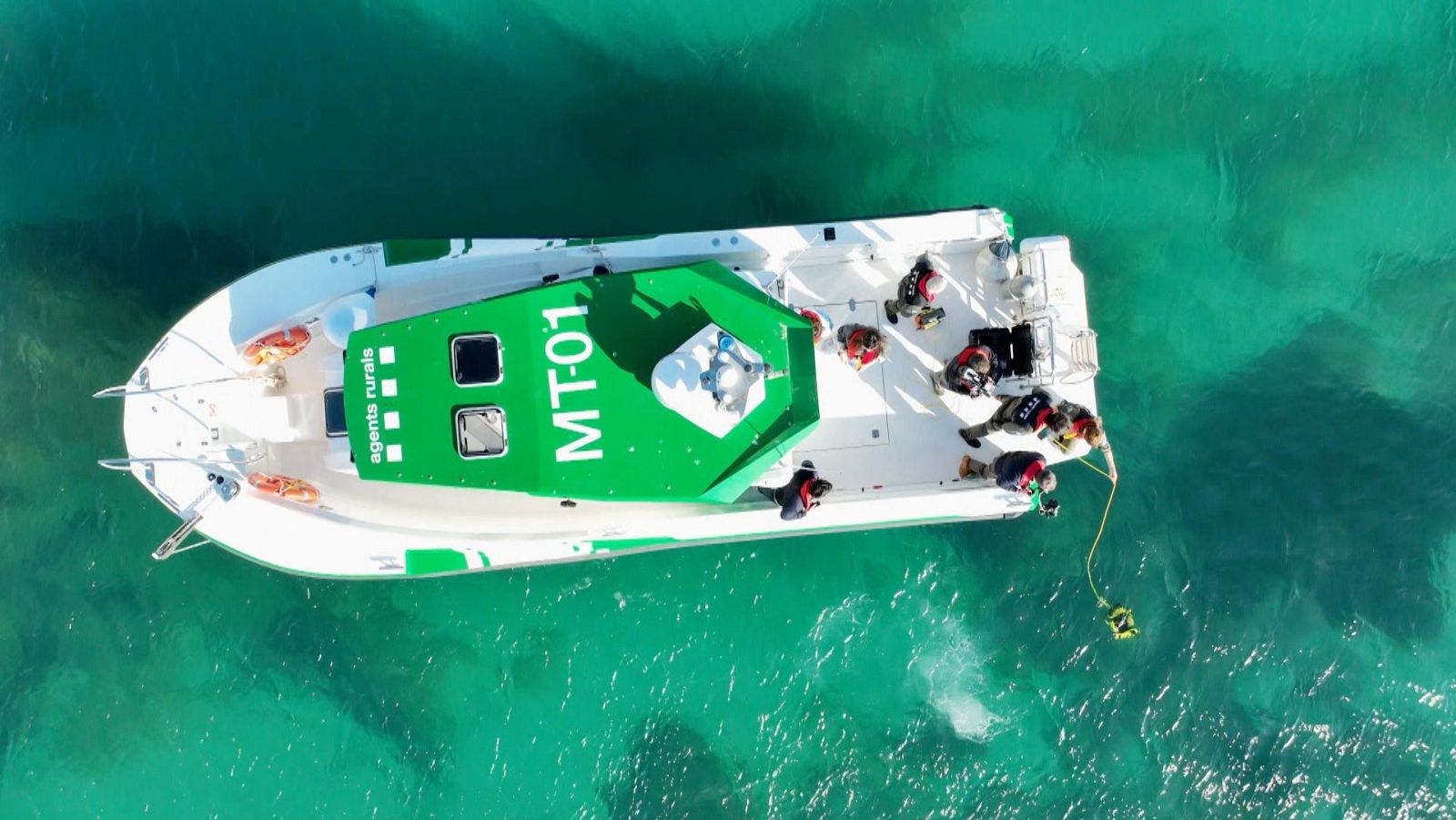 El escarabajo verde - Proteger la tierra - ver ahora