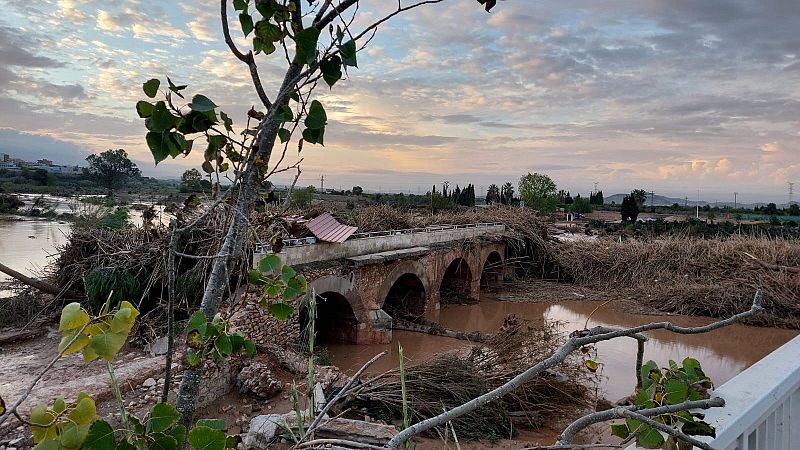 Dos peritos ven un "fallo" el hecho de que nunca se haya activado el nivel 3 de emergencia en España