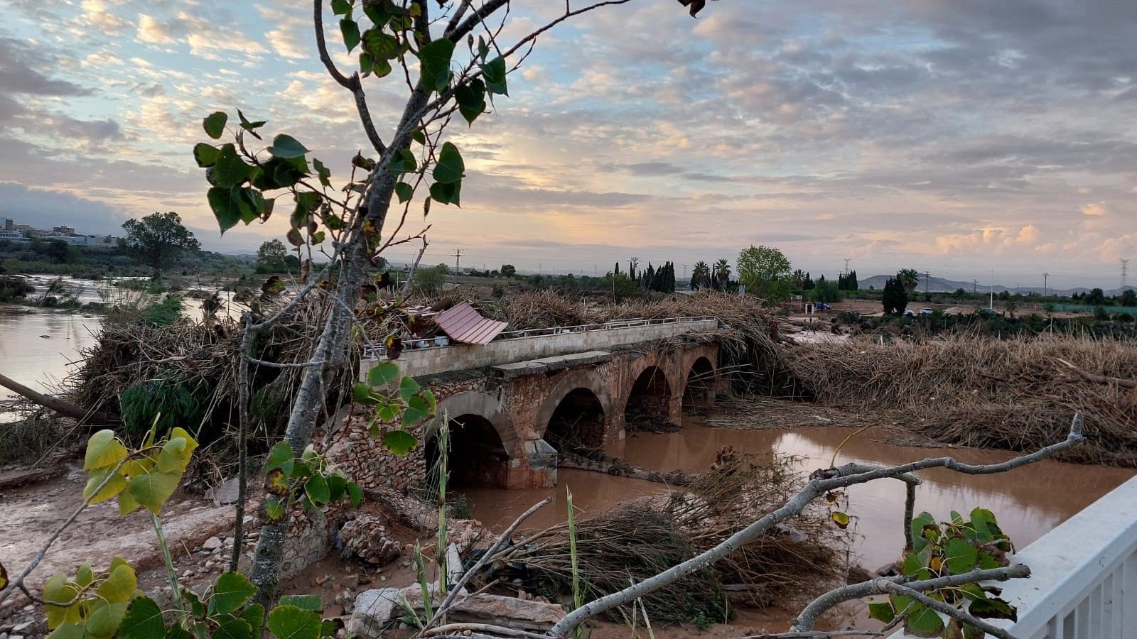 Un informe pericial señala que la "ausencia de alertas" convirtió la dana de Valencia en una "masacre evitable" - Telediario 2 | Ver