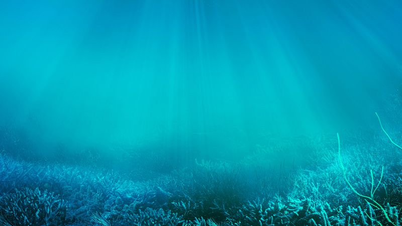 El calentamiento global cuadruplica el agua sin oxígeno de los océanos en los últimos cincuenta años