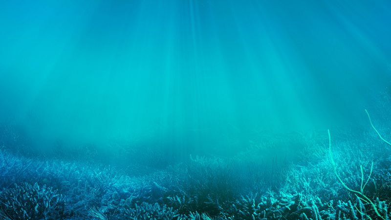 El calentamiento global cuadruplica el agua sin oxígeno de los océanos en los últimos cincuenta años