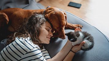 Los beneficios emocionales de las mascotas