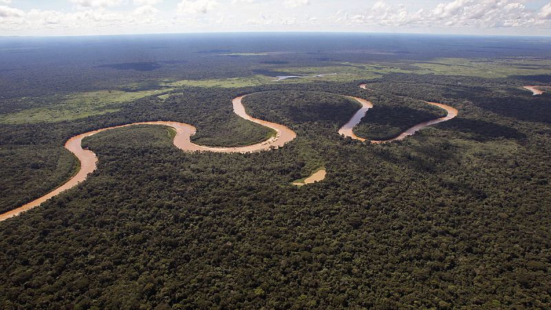 Un equipo internacional de científicos denuncia una deforestación "alarmante" en la Amazonia boliviana