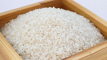 bioplastico de arroz