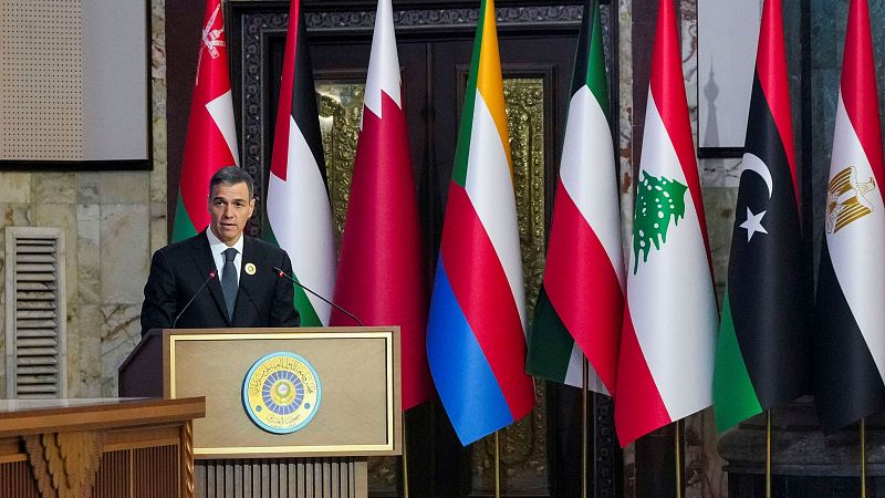 Espaa propondr ante la ONU que la justicia internacional se pronuncie sobre el acceso de ayuda humanitaria a Gaza