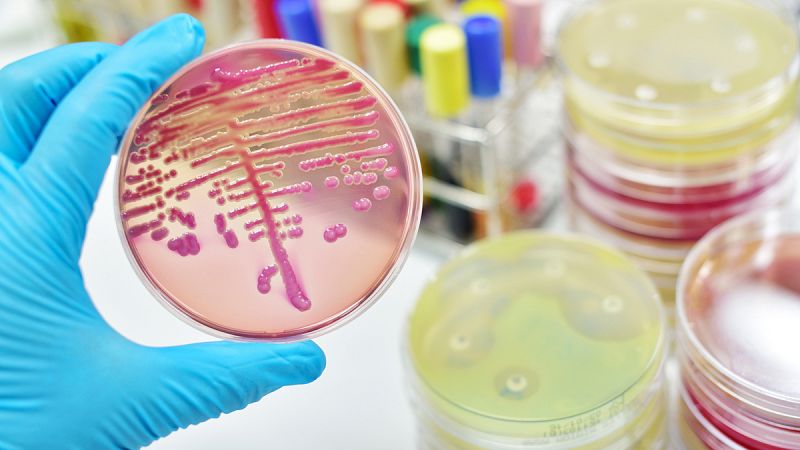 Crean un potente agente antibacteriano muy prometedor en la lucha contra la resistencia a los antibióticos
