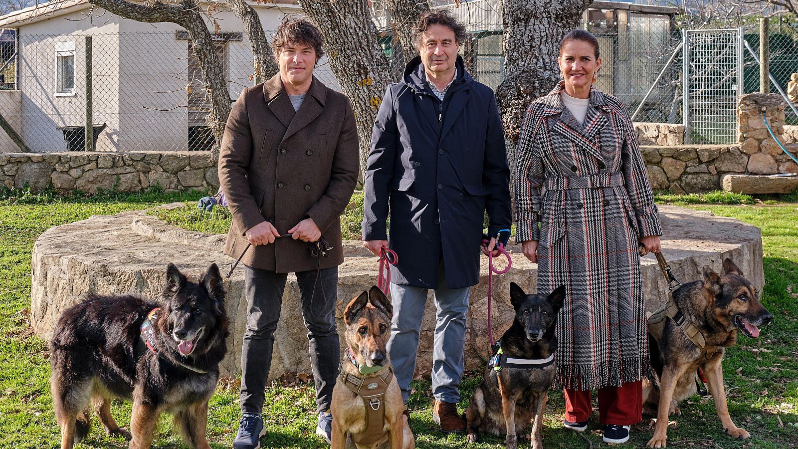 MasterChef y la importancia de adoptar animales de compañía - MasterChef | Ver