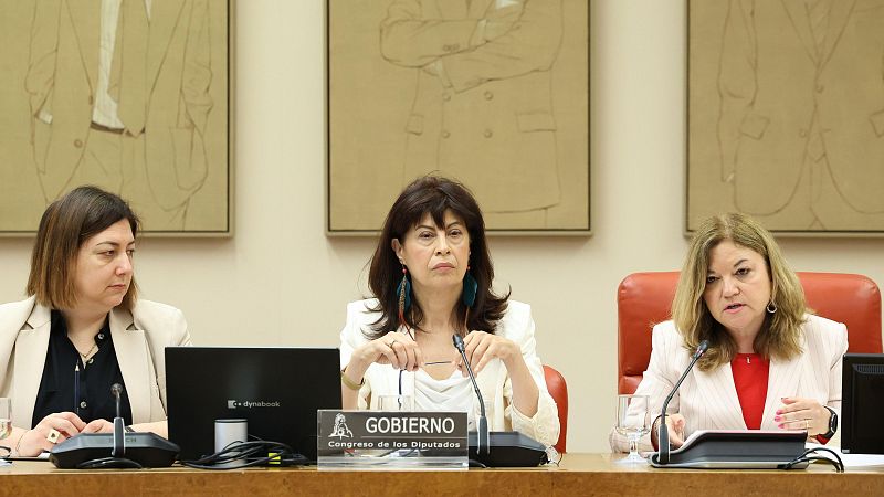 Igualdad anuncia que se reformará el Código Penal para incluir la violencia vicaria