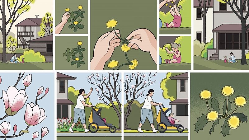 Chris Ware, el dibujante que con el cmic eleva lo cotidiano