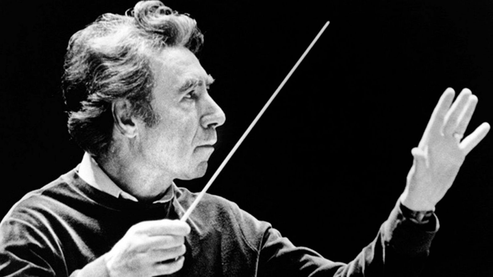 Concierto Homenaje a Sergiu Comissiona