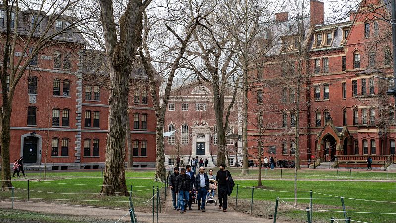 Harvard demanda a la Administracin Trump por bloquear la inscripcin de estudiantes extranjeros