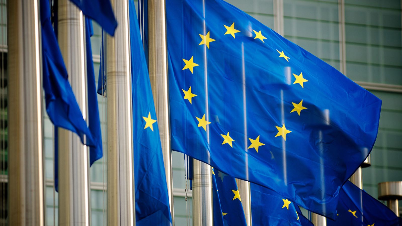 La UE estudia la oficialidad del catalán, euskera y gallego | Ver