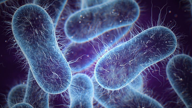 La ciencia explora cmo garantizar alimentos seguros sin abusar de los antibiticos y otros qumicos
