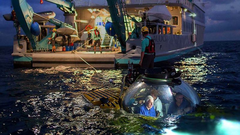 El ocano, segn David Attenborough: la "ltima batalla" por la supervivencia del planeta