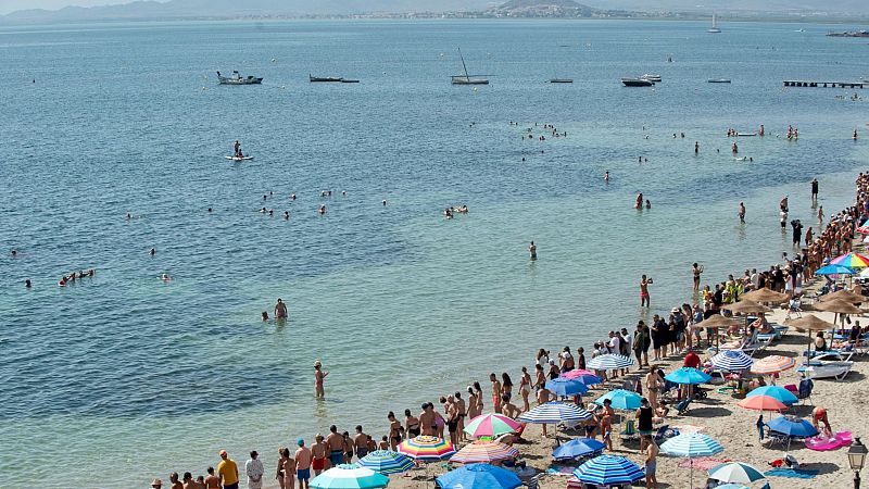 Miguel ngel Esteve, tutor del Mar Menor: "Hemos sacado a la laguna de la UCI y est en planta, pero vulnerable"