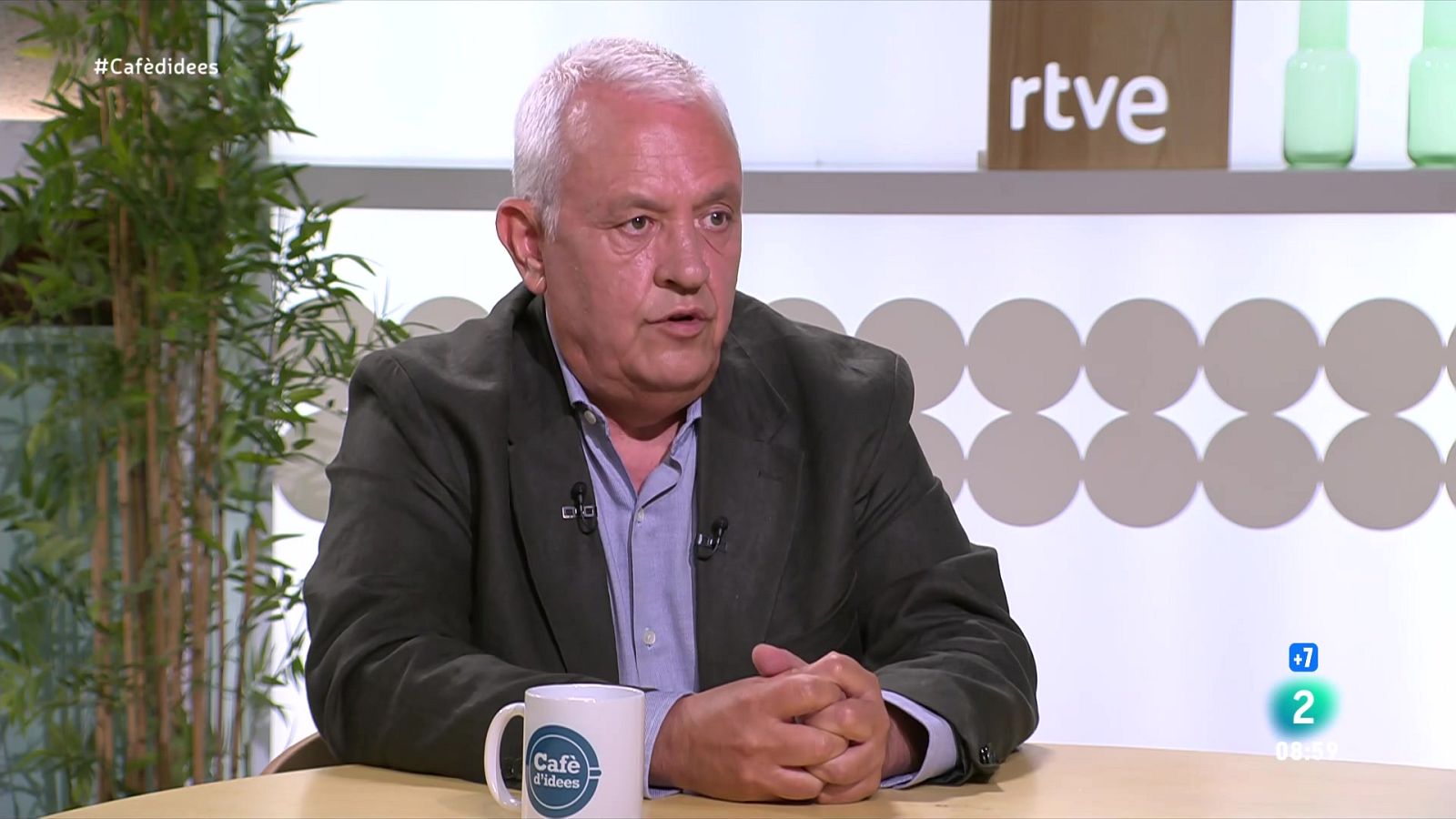 Santi Rodríguez nega gestions del PP contra el català a la UE | Veure