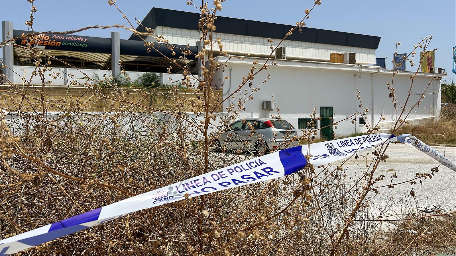 Detenido como presunto autor del asesinato de su pareja en Marbella | Ver