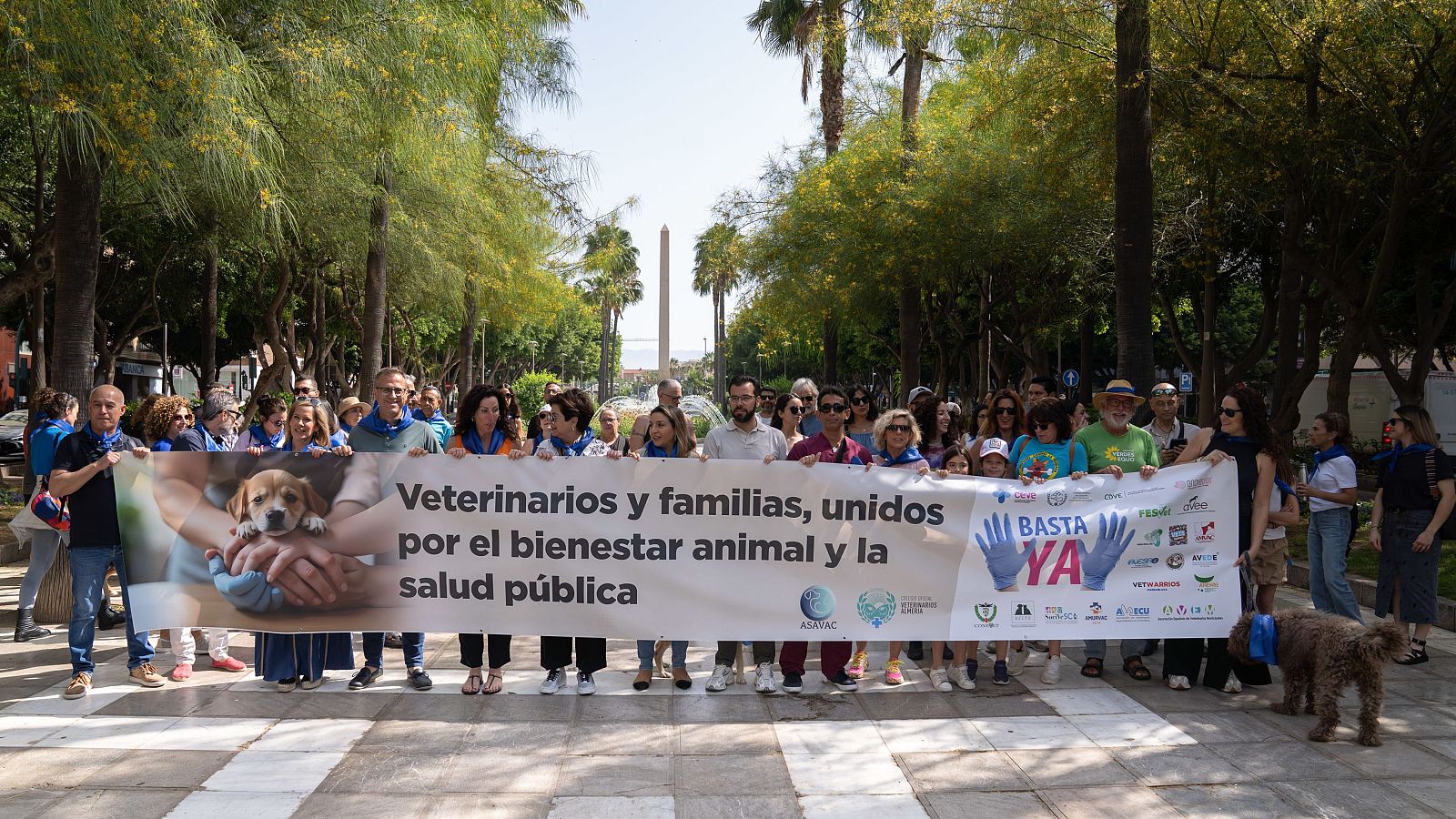 Los veterinarios se vuelven a manifestar contra la ley de bienestar animal - Fin de semana 24h | Ver