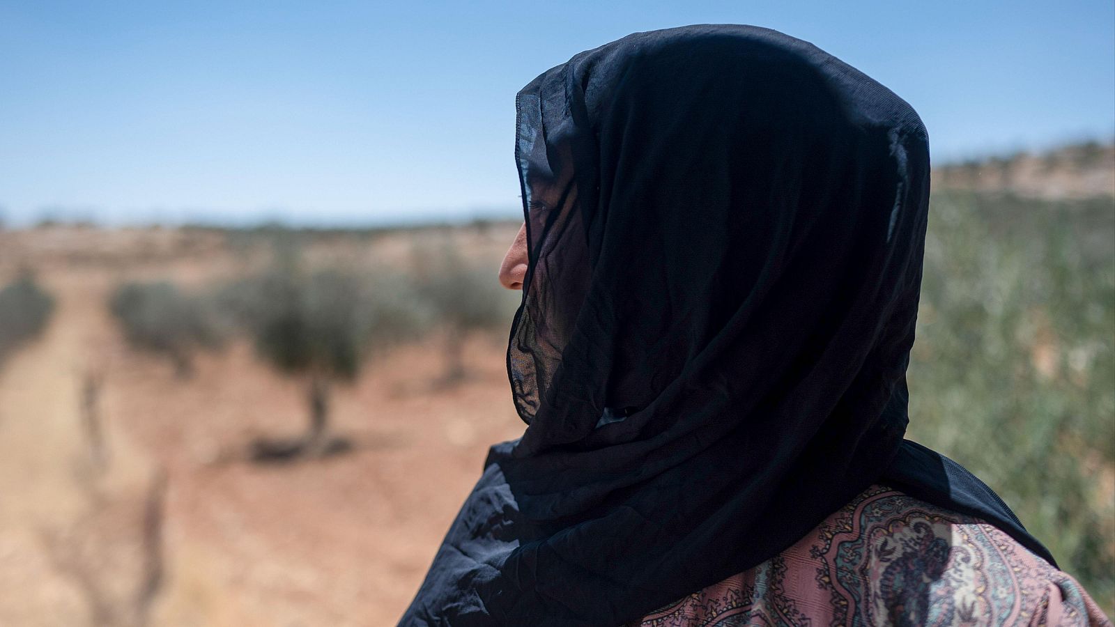 Colonos israelíes agreden y expulsan a familias palestinas | Ver