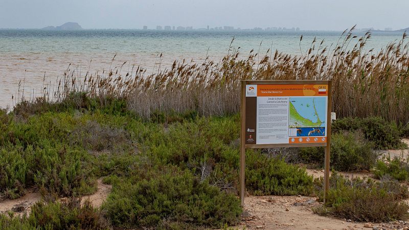 El Mar Menor, reconocido por Naciones Unidas como Iniciativa Emblemtica de Restauracin de Ecosistemas