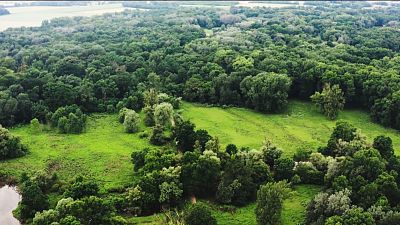 La restauracin de la naturaleza en Europa