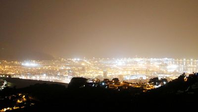 La contaminación lumínica también afecta a las plantas