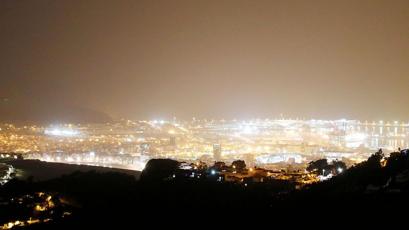 La contaminacin lumnica tambin afecta a las plantas