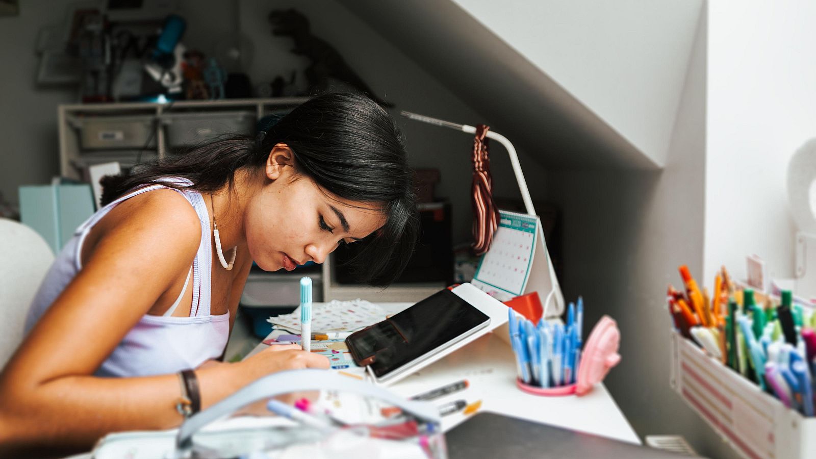 Preparar una oposición o las PAU - Para Todos La 2 - Para todos La 2 | Ver