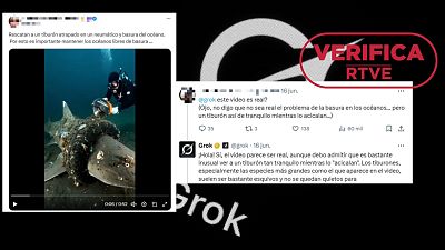 "Es esto real, Grok?": te explicamos por qu es mejor no confiar en su respuesta