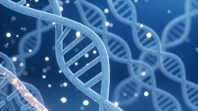 El CNIO descubre biomarcadores que predicen qu pacientes no respondern a la quimioterapia contra el cncer