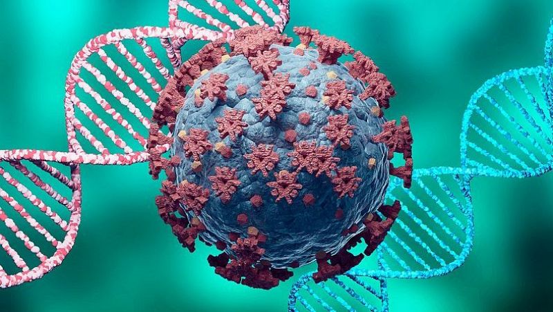 Com cuidar les defenses: l'ABC de la immunitat segons Alfredo Corell