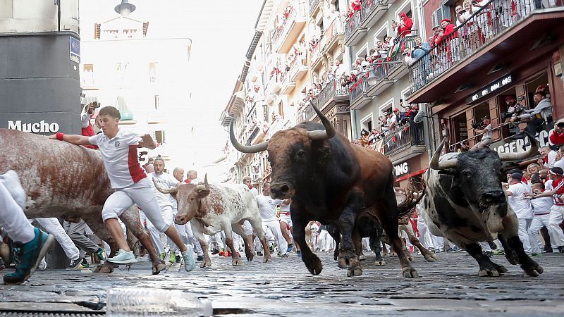 Ganadera del segundo encierro de San Fermn 2025: Cebada Gago, a reverdecer laureles con emocin asegurada