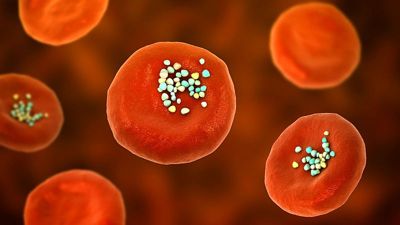 Los microplsticos se encuentran ya en el semen y en el lquido folicular