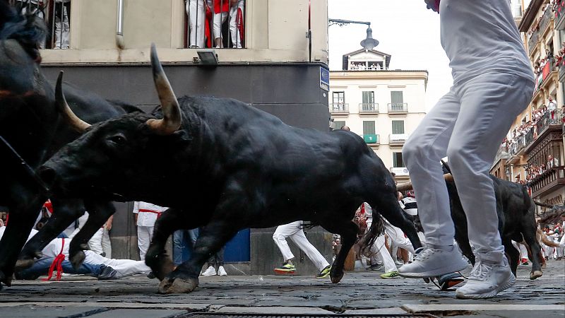 Ganadera del quinto encierro de San Fermn 2025: Jandilla, triunfadora de San Isidro y con leyenda negra