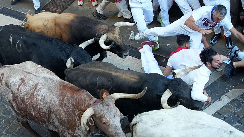 Ganadera del sptimo encierro de San Fermn 2025: La Palmosilla ante su gran reto