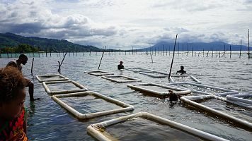 Las islas del Pacfico se hunden por el cambio climtico