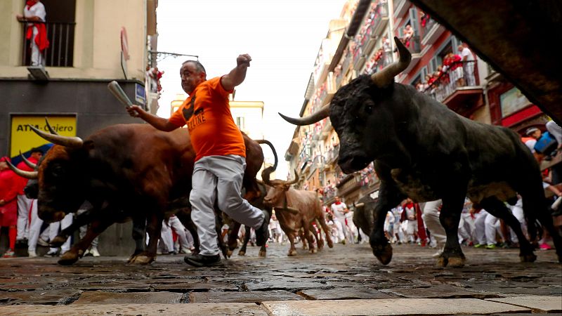 Ganadera del octavo encierro de San Fermn 2025: Miura, pura leyenda