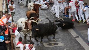San Fermn 2025: primer encierro con toros de Fuente Ymbro