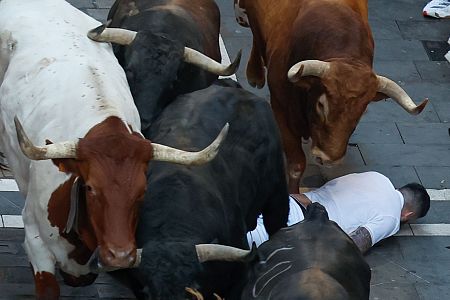 San Fermn 2025: los rpidos y peligrosos toros de Jandilla, protagonistas del quinto encierro de los Sanfermines