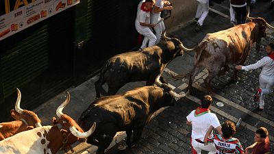 San Fermn 2025: octavo encierro con los toros de Miura, el ms veloz