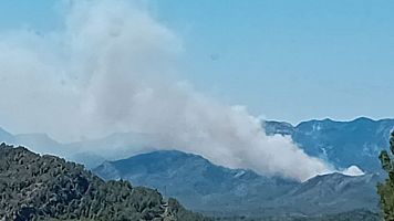 Incendi a Pals, al Baix Ebre, a la zona coneguda com el barranc de l'infern