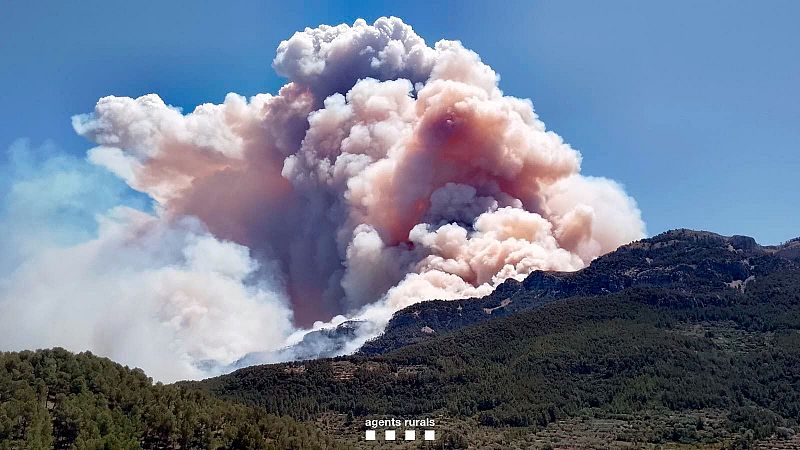 Un incendio forestal en Pals, Tarragona, obliga a confinar a unos 3.000 vecinos de cuatro localidades