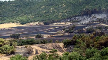 Imatge de la columna de fum de l'incendi de Sant Pere Sallavinera | ACN
