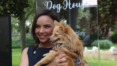 'Dog House': en qu consiste el nuevo reality de adopcin de perros de RTVE?