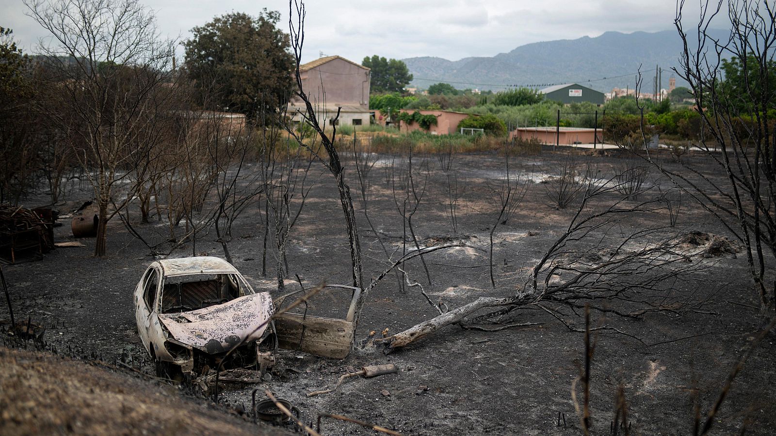 Controlado el incendio de Paüls, que deja un muerto - Telediario Matinal | Ver