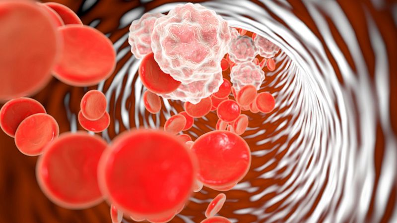 Identifican una molcula generada por bacterias intestinales, clave para tratar enfermedades cardiovasculares