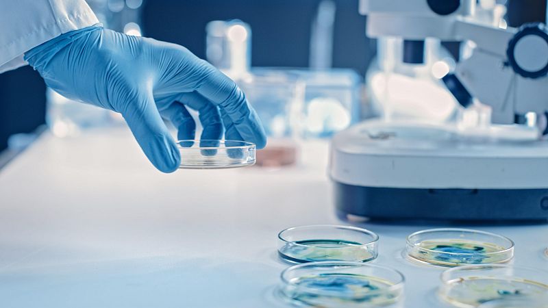 Cientficos espaoles confirman la amplia diseminacin de un gen que crea "superbacterias" resistentes a antibiticos