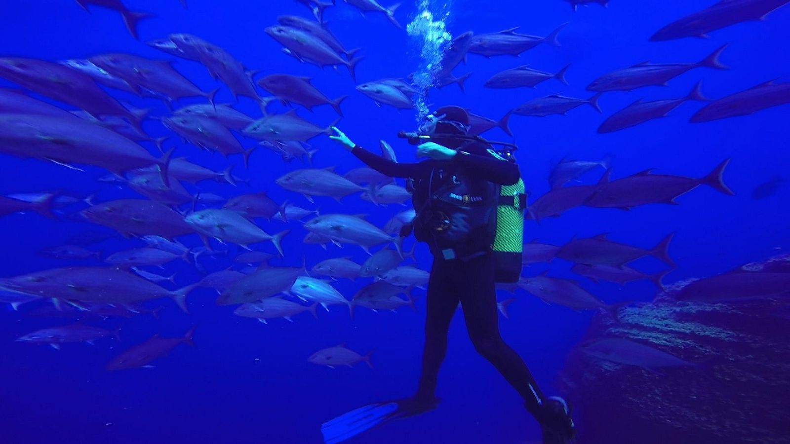 ‘Comando Actualidad’ visita tres paraísos naturales | Ver